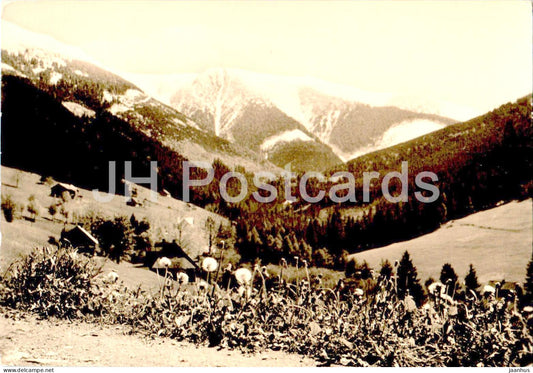 Krkonose - Jaro ve Svatem Petru - Spring in Saint Peter - Czech Repubic - Czechoslovakia - used - JH Postcards