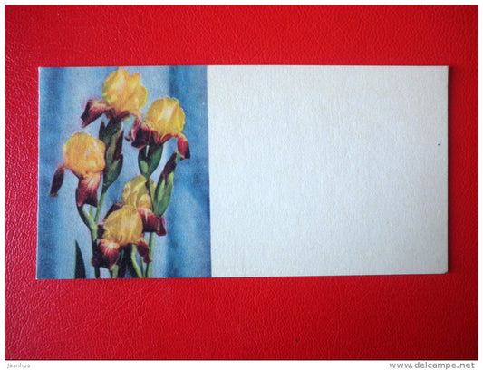 Iris germanica Magnet - flowers - mini format card - 1968 - Estonia USSR - used - JH Postcards