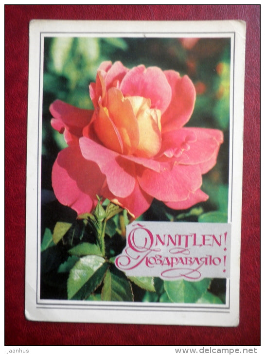 Greeting Card - red roses - flowers - 1974 - Russia USSR - unused - JH Postcards