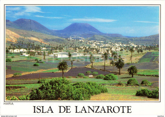 Lanzarote - Haria - Spain - used - JH Postcards