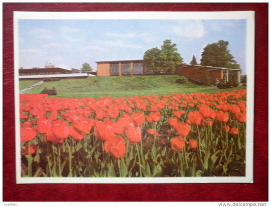 Flower Pavilion - tulips - flowers - Tallinn - 1980 - Estonia USSR - unused - JH Postcards