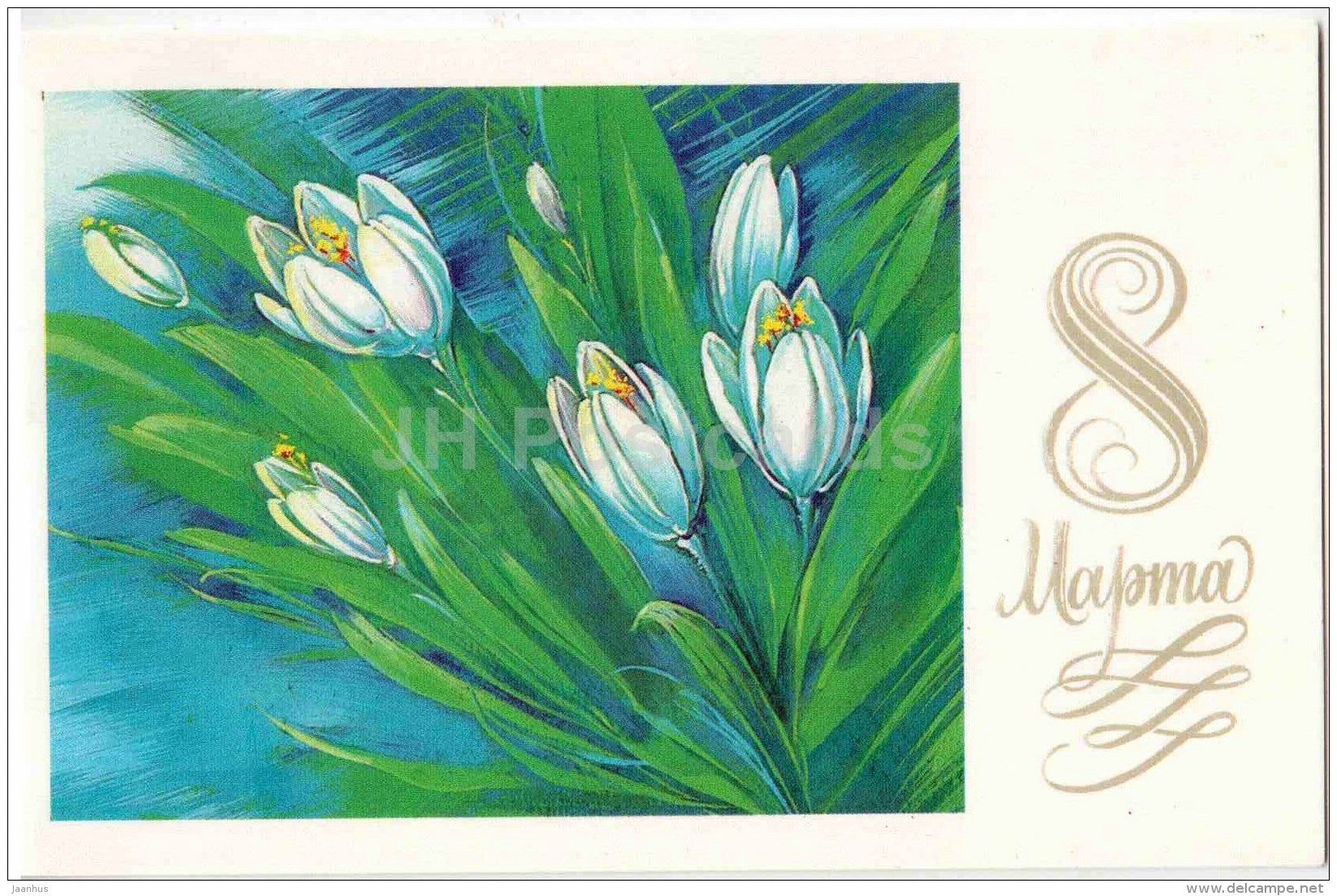 8 March International Women's Day greeting card by N. Korobova - white crocus - 1985 - Russia USSR - unused - JH Postcards