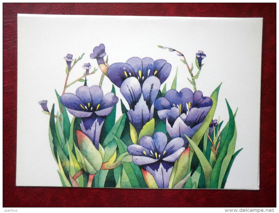 illustration by R. Lukk - blue flowers - 1984 - Estonia USSR - used - JH Postcards