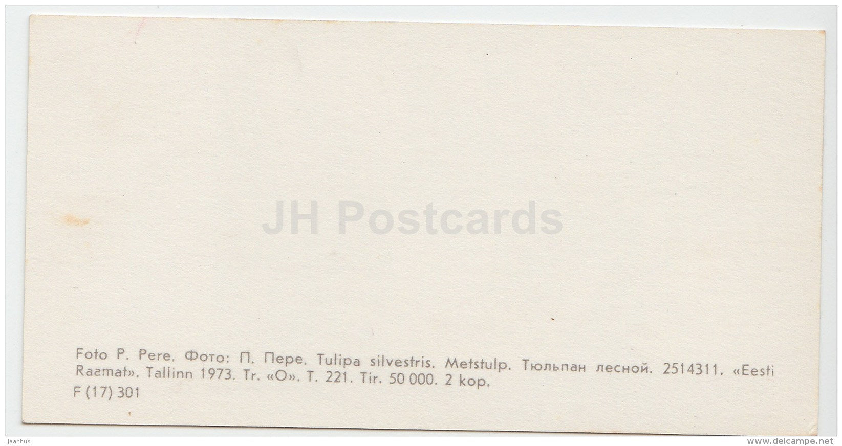 mini Birthday greeting card - Tulipa silvestris - tulip - flowers - 1973 - Estonia USSR - unused - JH Postcards
