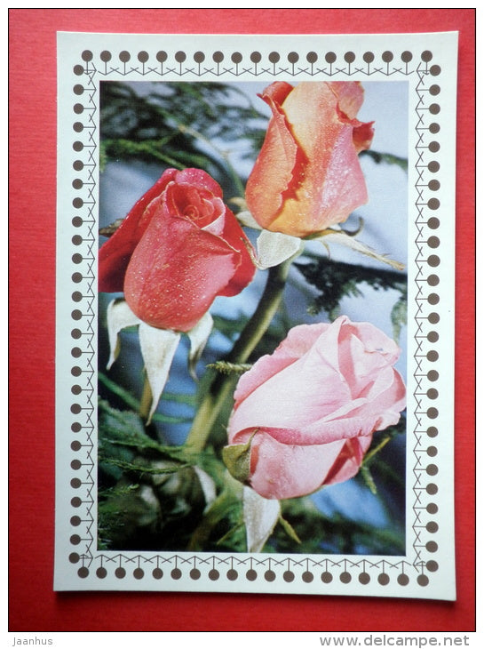 red and pink roses 1 - flowers - Czechoslovakia - unused - JH Postcards