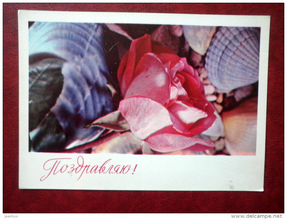 Greeting Card - red roses - shells - flowers - 1974 - Russia USSR - used - JH Postcards