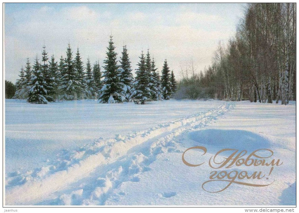 New Year Greeting Card - winter landscape - birch and fir trees - 1986 - Russia USSR - unused - JH Postcards