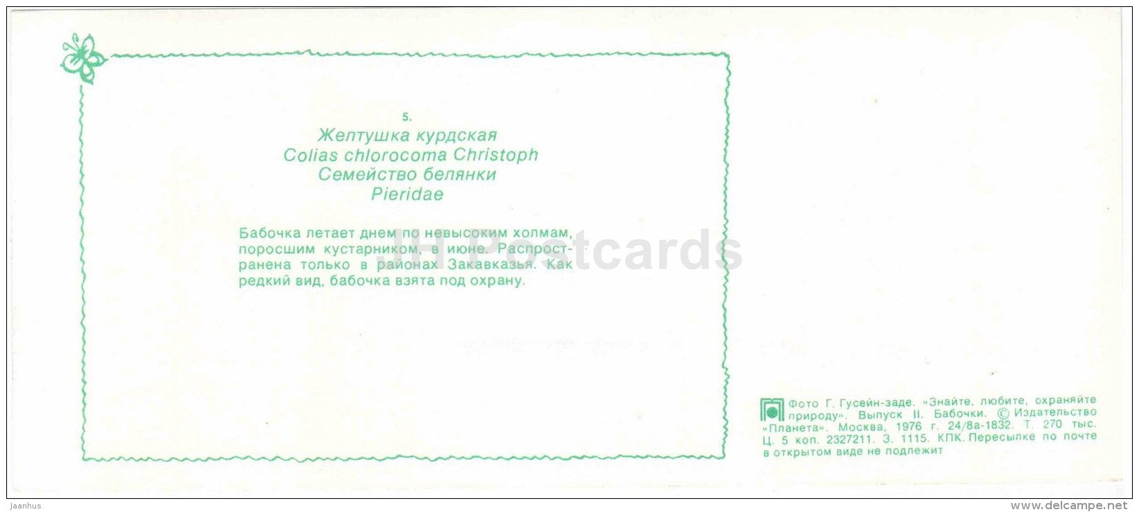 Colias chlorocoma - butterfly - 1976 - Russia USSR - unused - JH Postcards