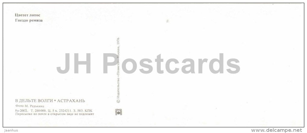 lotos flower - Remiz bird - Astrakhan - 1976 - Russia USSR - unused - JH Postcards