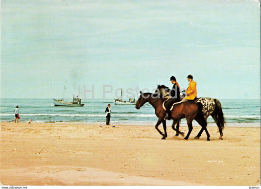 Vesterhavet - North Sea - horse - Denmark - used - JH Postcards