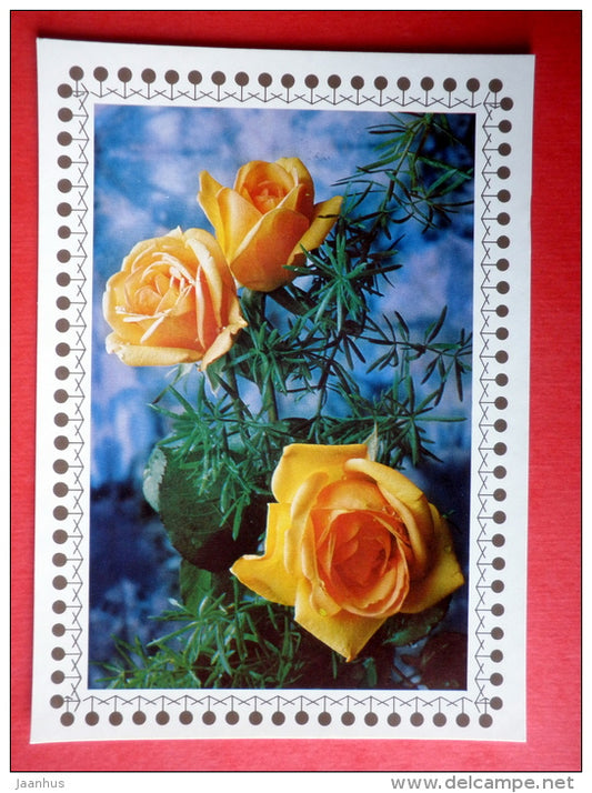 yellow roses - flowers - Czechoslovakia - unused - JH Postcards