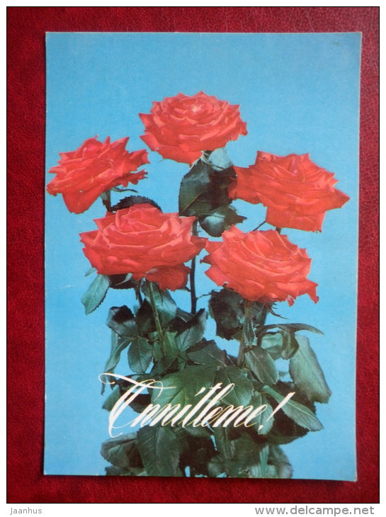 Greeting Card - red roses - flowers - 1993 - Estonia USSR - used - JH Postcards