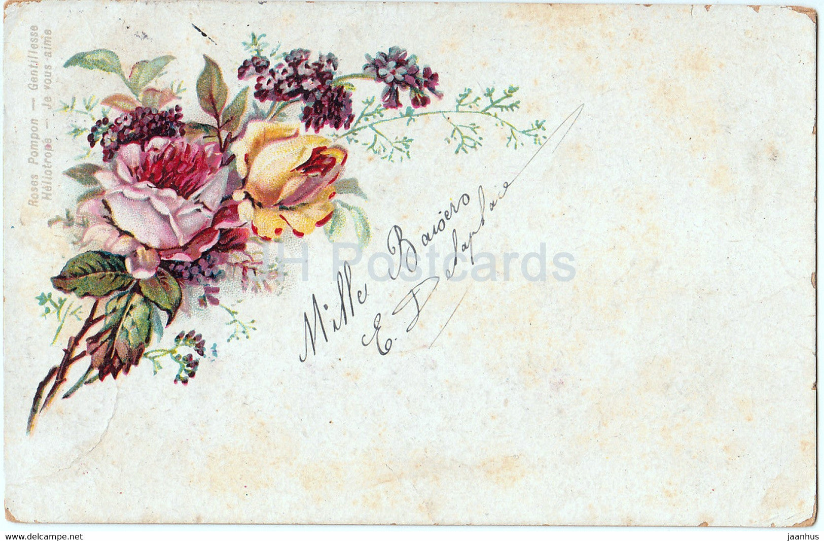 Roses Pompon Gentillesse - Haliotrope  Je vous aime - flowers - roses - illustration - old postcard - France - used - JH Postcards