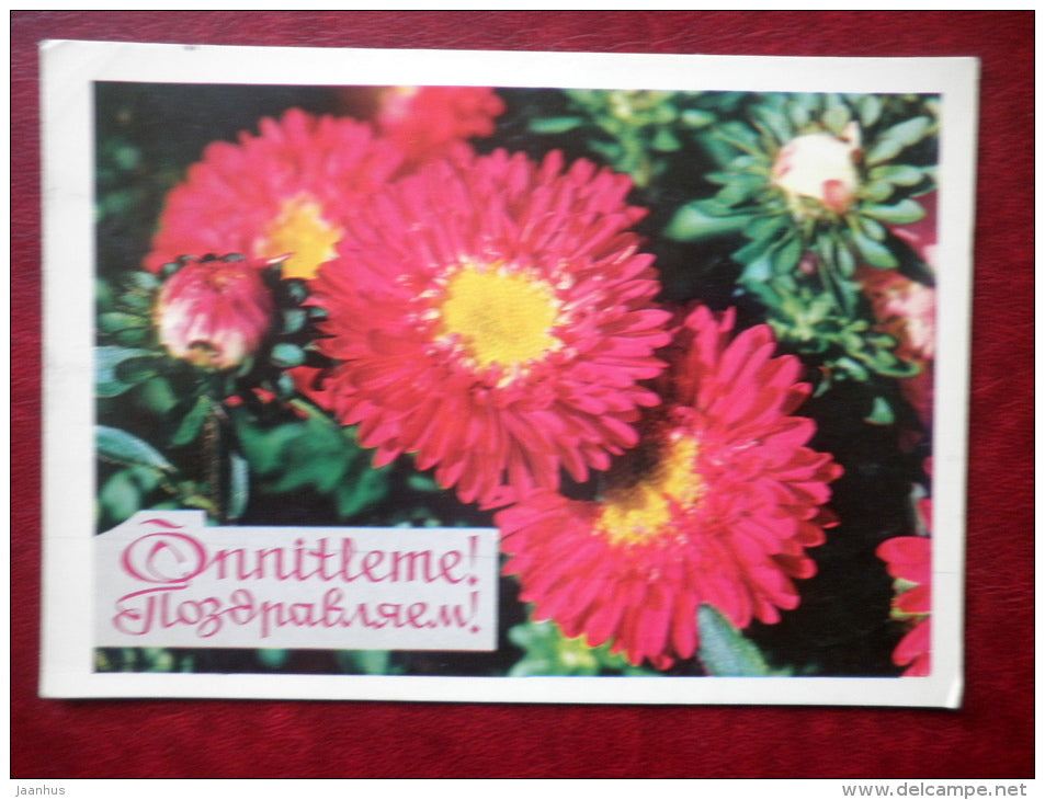 Greeting Card - red flowers - flowers - 1974 - Russia USSR - used - JH Postcards