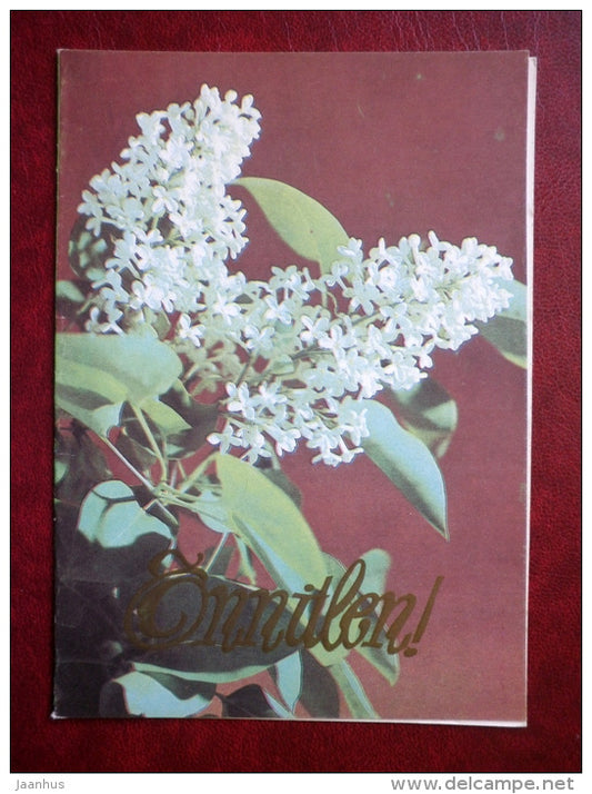 greeting card - White lilac - flowers - 1983 - Estonia USSR - unused - JH Postcards