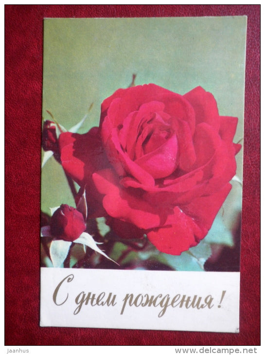 Greeting Card - red rose - flowers - 1974 - Russia USSR - used - JH Postcards