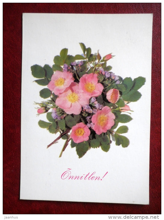 Greeting Card - by I. Dergilyeva - rose hip - flowers - 1991 - Estonia USSR - used - JH Postcards