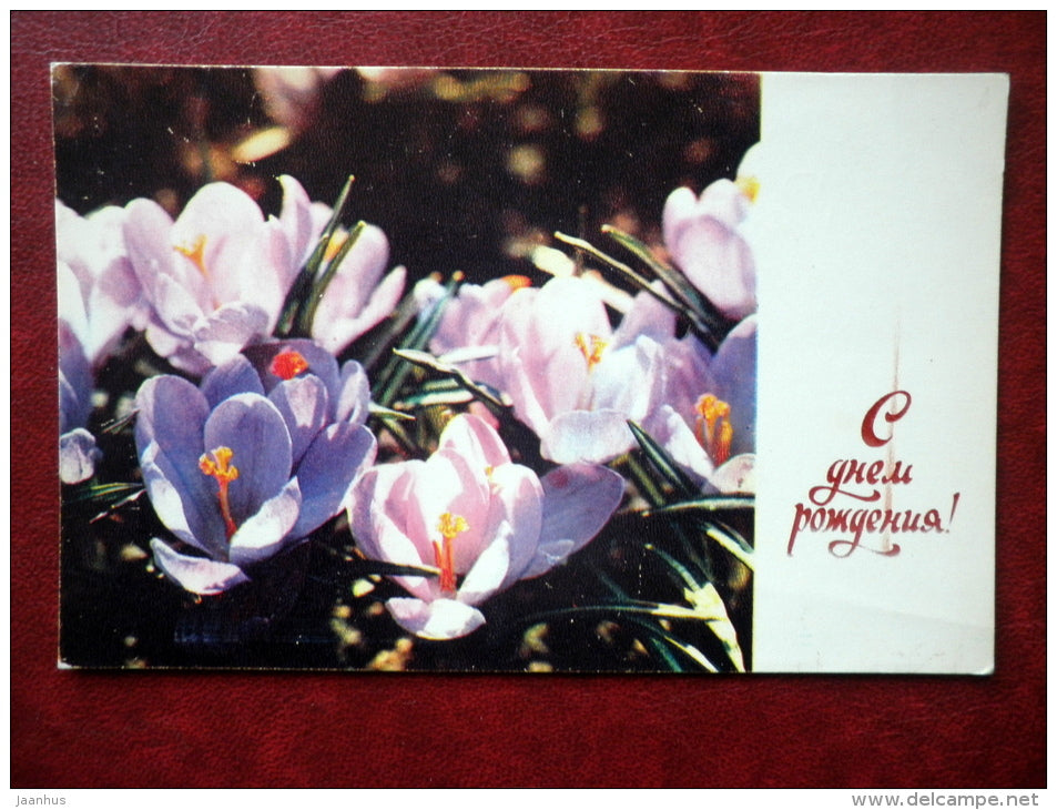 Greeting Card - crocus - flowers - 1974 - Russia USSR - used - JH Postcards