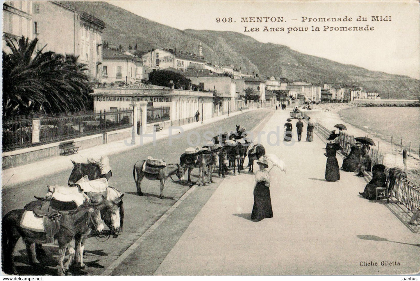 Menton - Promenade du Midi Les Anes pour la Promenade - 908 - animals - donkey - old postcard - France - unused - JH Postcards