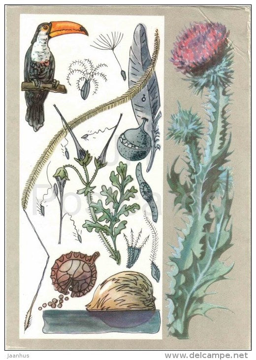 bird - Cotton thistle - Seeds Travelers - Amazing Plants - 1976 - Russia USSR - unused - JH Postcards