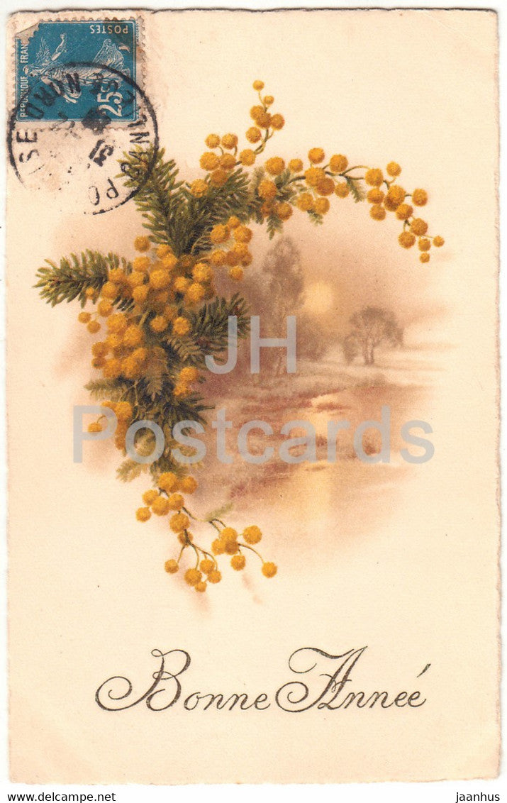 Birthday Greeting Card - Bonne annee - yellow flowers -  illustration - old postcard - France - used - JH Postcards