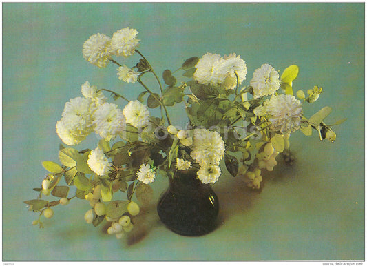 Greeting Card - white carnation in a vase - flowers - postal stationery - 1985 - Russia USSR - used - JH Postcards