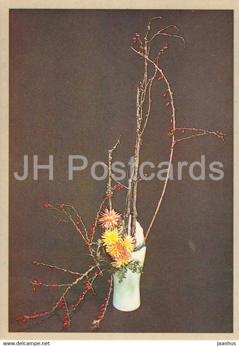 Ignorance - composition - Flower Art - ikebana - 1981 - Estonia USSR - unused - JH Postcards