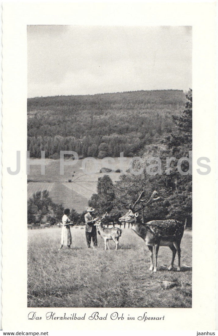 Das Herzheilbad Bad Orb im Spessart - animal - deer - Germany - unused - JH Postcards