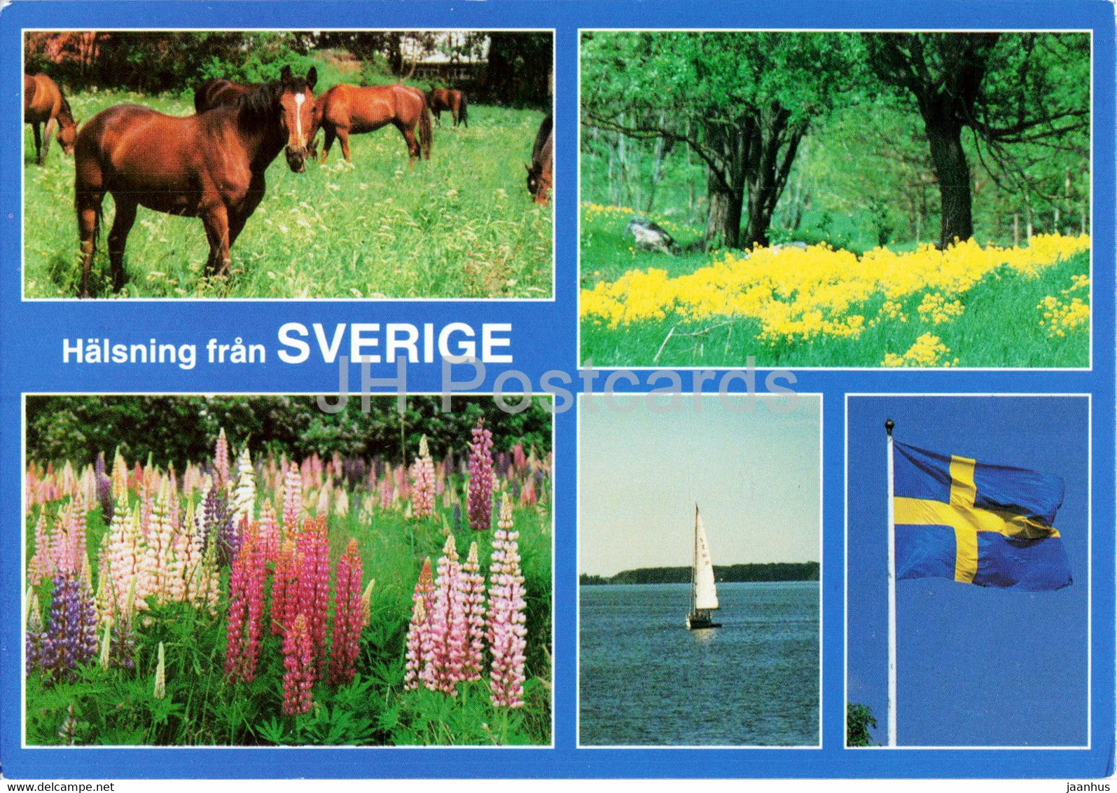 Halsning fran Sverige - Greetings from Sweden - horse - Sweden - unused - JH Postcards