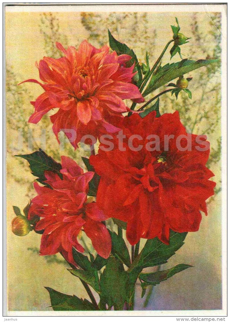 greeting card - red  flowers - telegram - 1975 - Russia USSR - used - JH Postcards