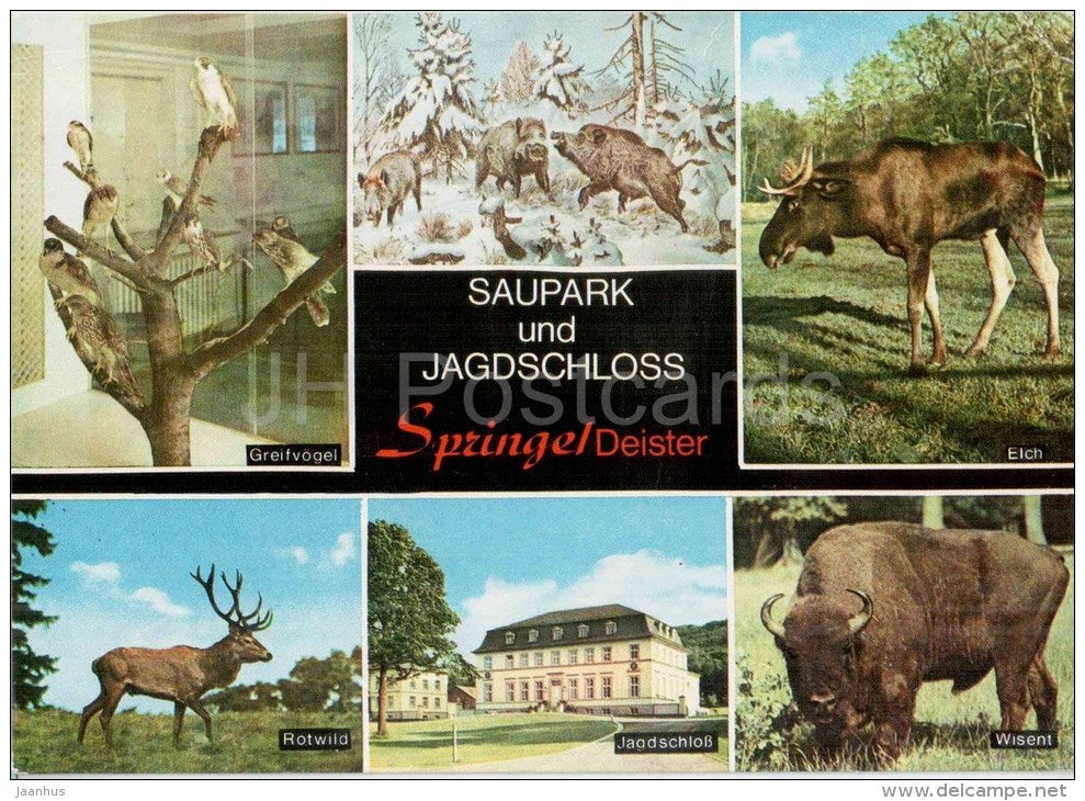 Saupark und Jagdschloss Springe Deister - Greifvögel - Rotwild - Elch - Wisent - elk - deer - Germany - 1990 gelaufen - JH Postcards