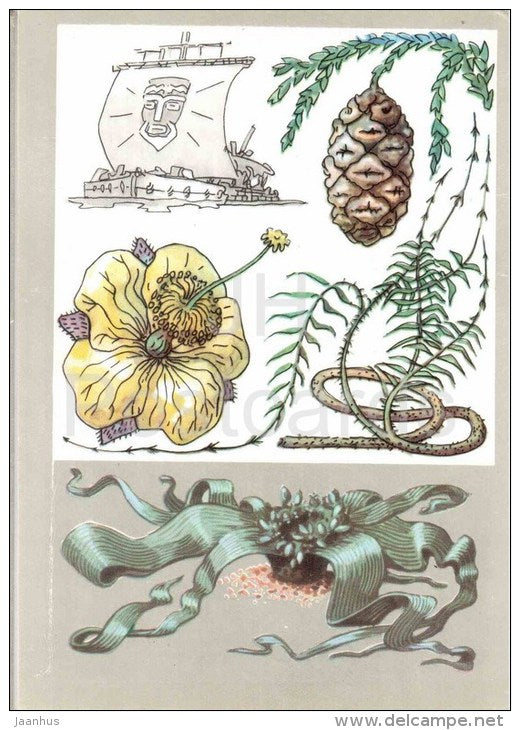 Kon Tiki - Welwitschia - rattan palm - baobab - Sequoia - Miracle Trees - Amazing Plants - 1976 - Russia USSR - unused - JH Postcards