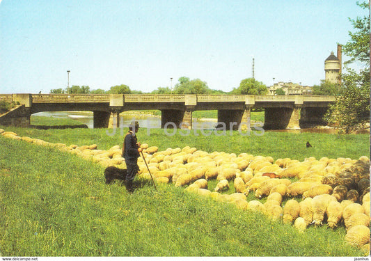 Eilenburg - Torgauer Brucke - sheep - animals - bridge - Germany DDR - used - JH Postcards