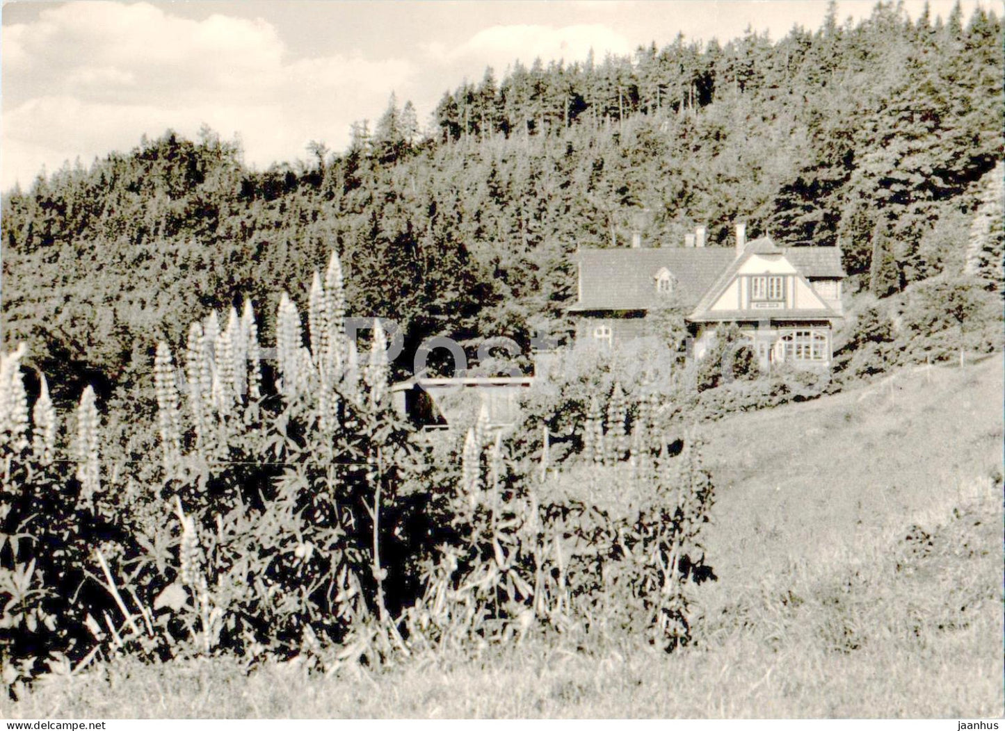 Beskydy - Radhost - Skalikova louka - Skalikova meadow - Czech Repubic - Czechoslovakia - unused - JH Postcards