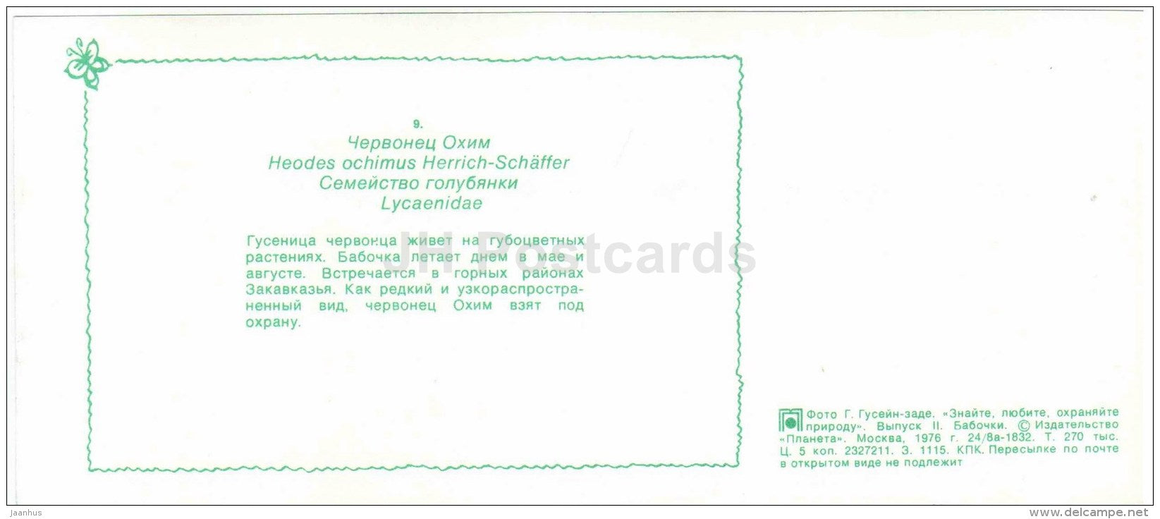 Heodes ochimus - butterfly - 1976 - Russia USSR - unused - JH Postcards