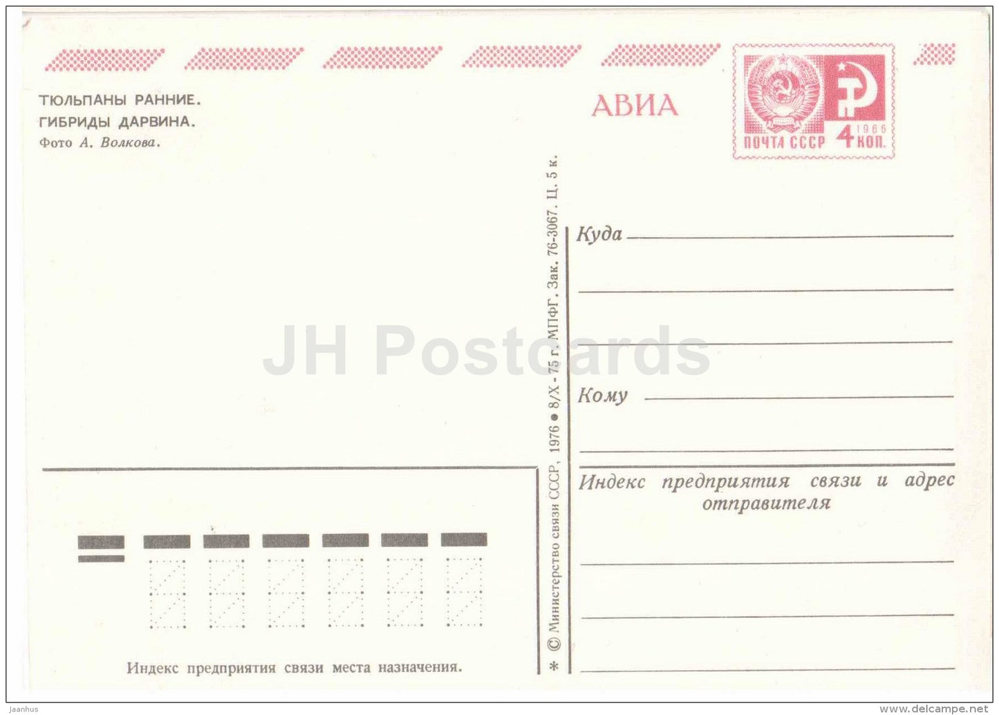 Early Tulips - flowers - AVIA - postal stationery - 1976 - Russia USSR - unused - JH Postcards