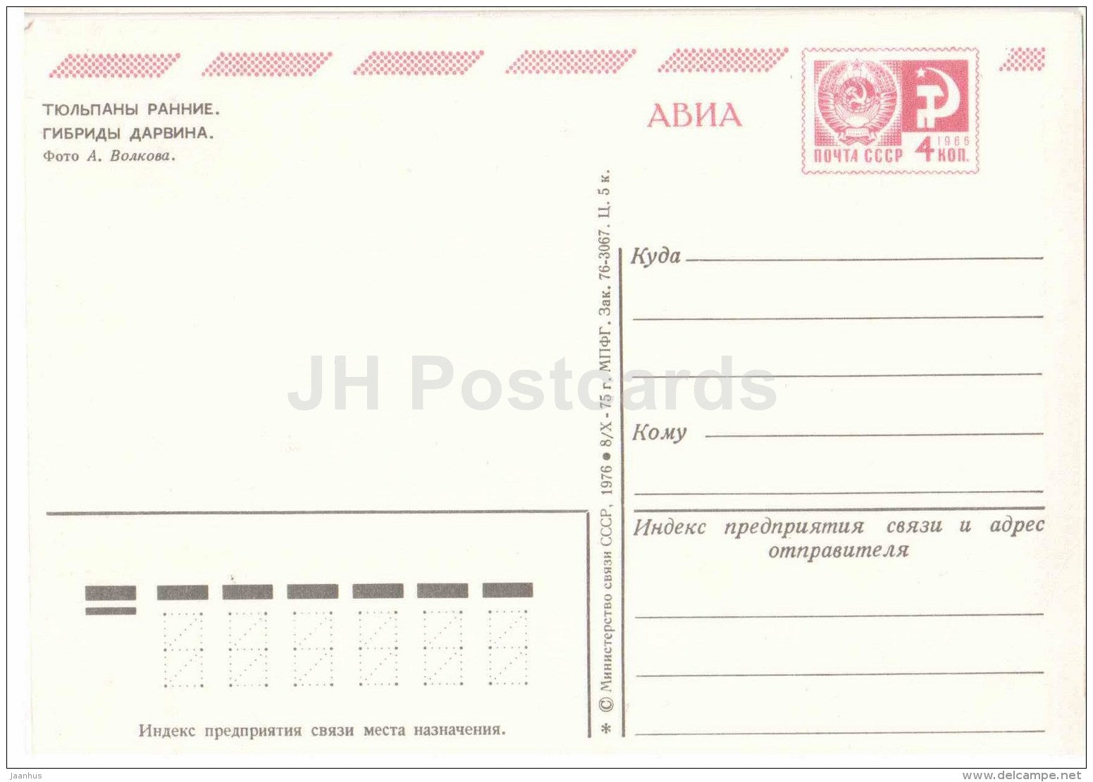 Early Tulips - flowers - AVIA - postal stationery - 1976 - Russia USSR - unused - JH Postcards