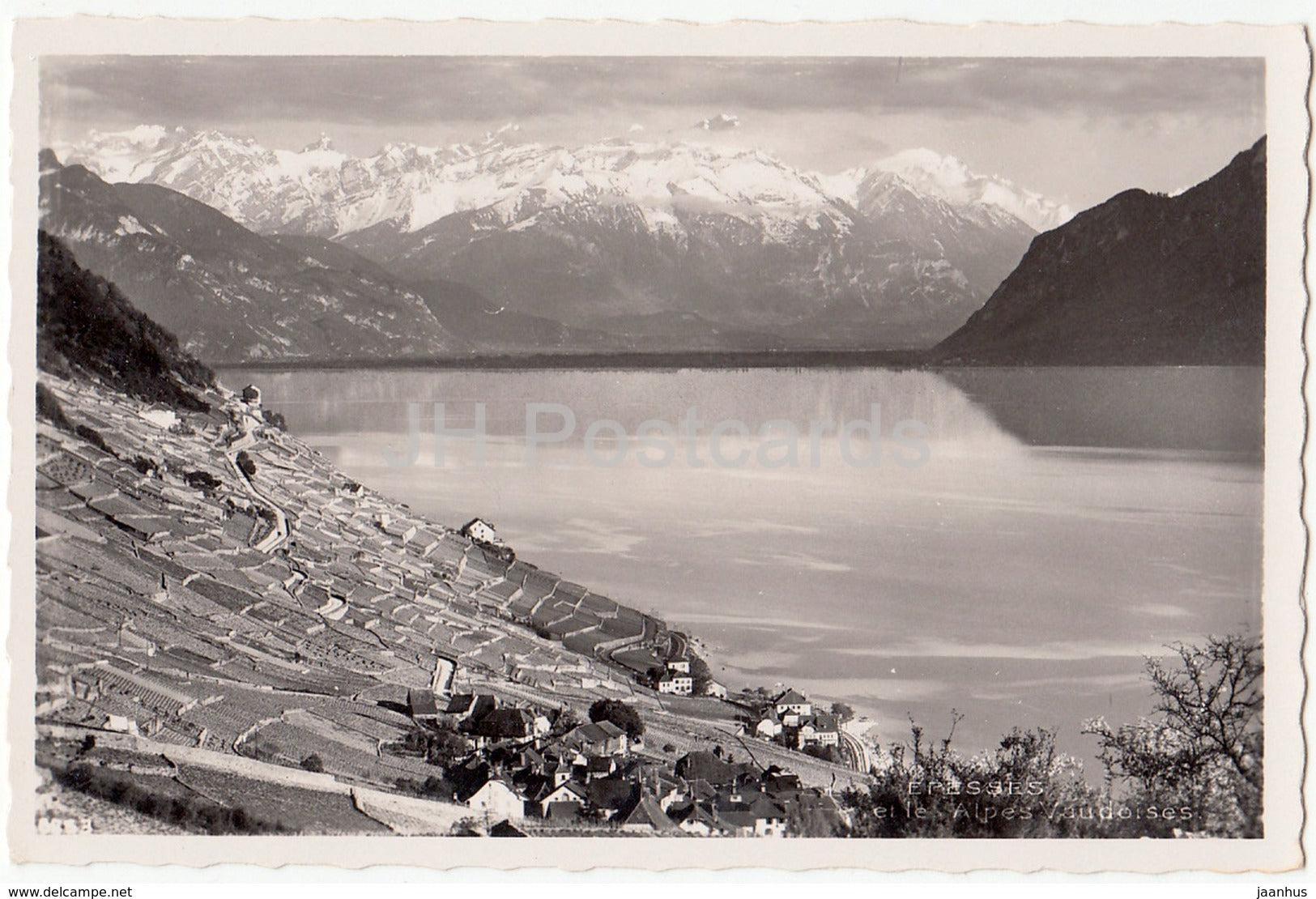 Epesses et le Alpes Vaudoises - Switzerland - old postcard - unused - JH Postcards