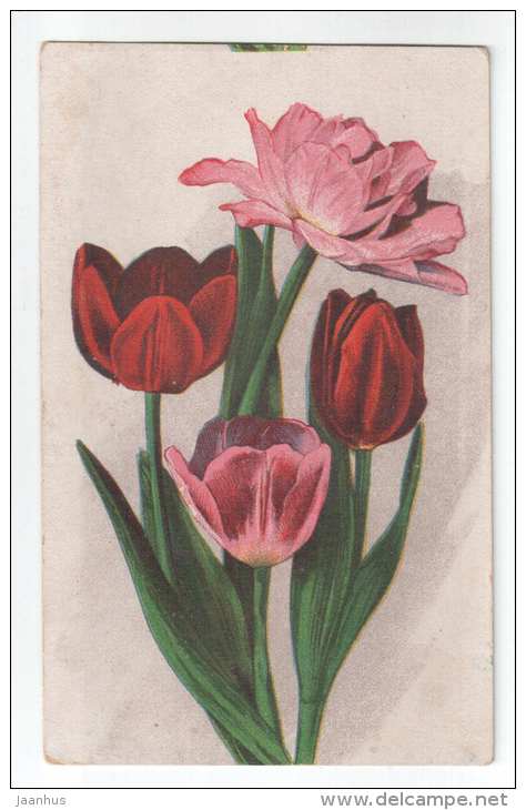 Greeting Card - flowers - tulips - 1325 - old postcard - circulated in Estonia - used - JH Postcards