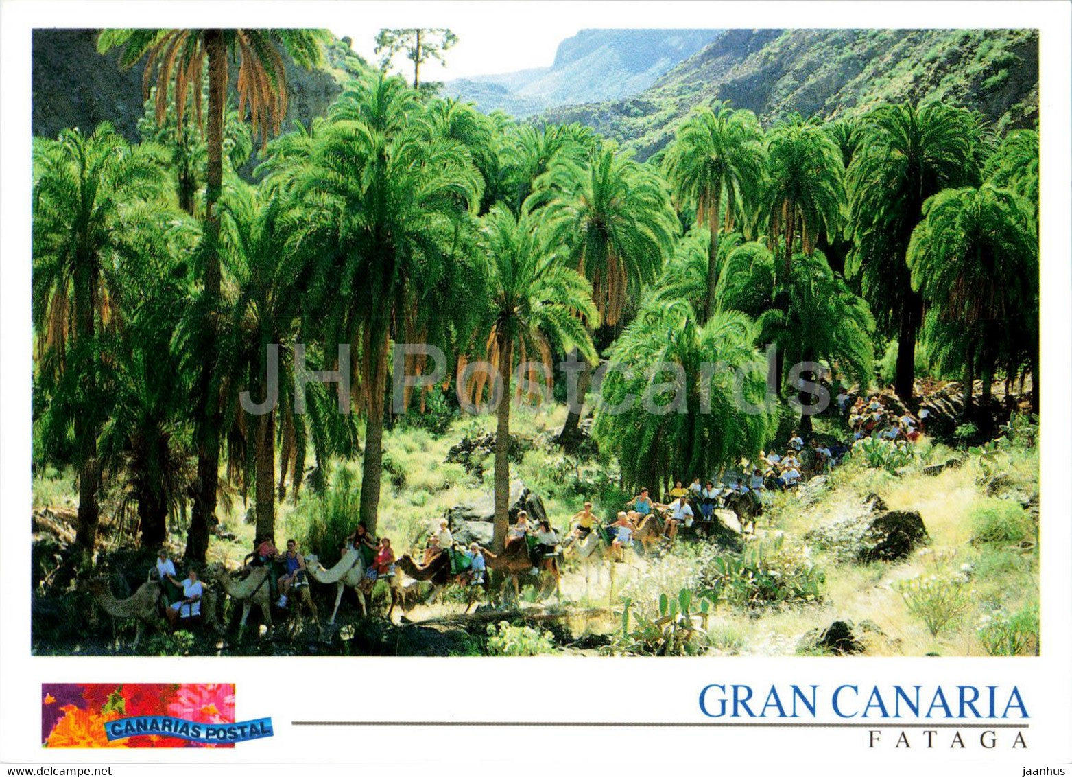 Gran Canaria - Fataga - Barranco de Fataga - 98 - Spain - unused - JH Postcards