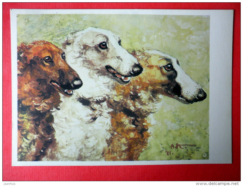 illustration by A. Komarov - Sighthound - greyhound - 1975 - Russia USSR - unused - JH Postcards