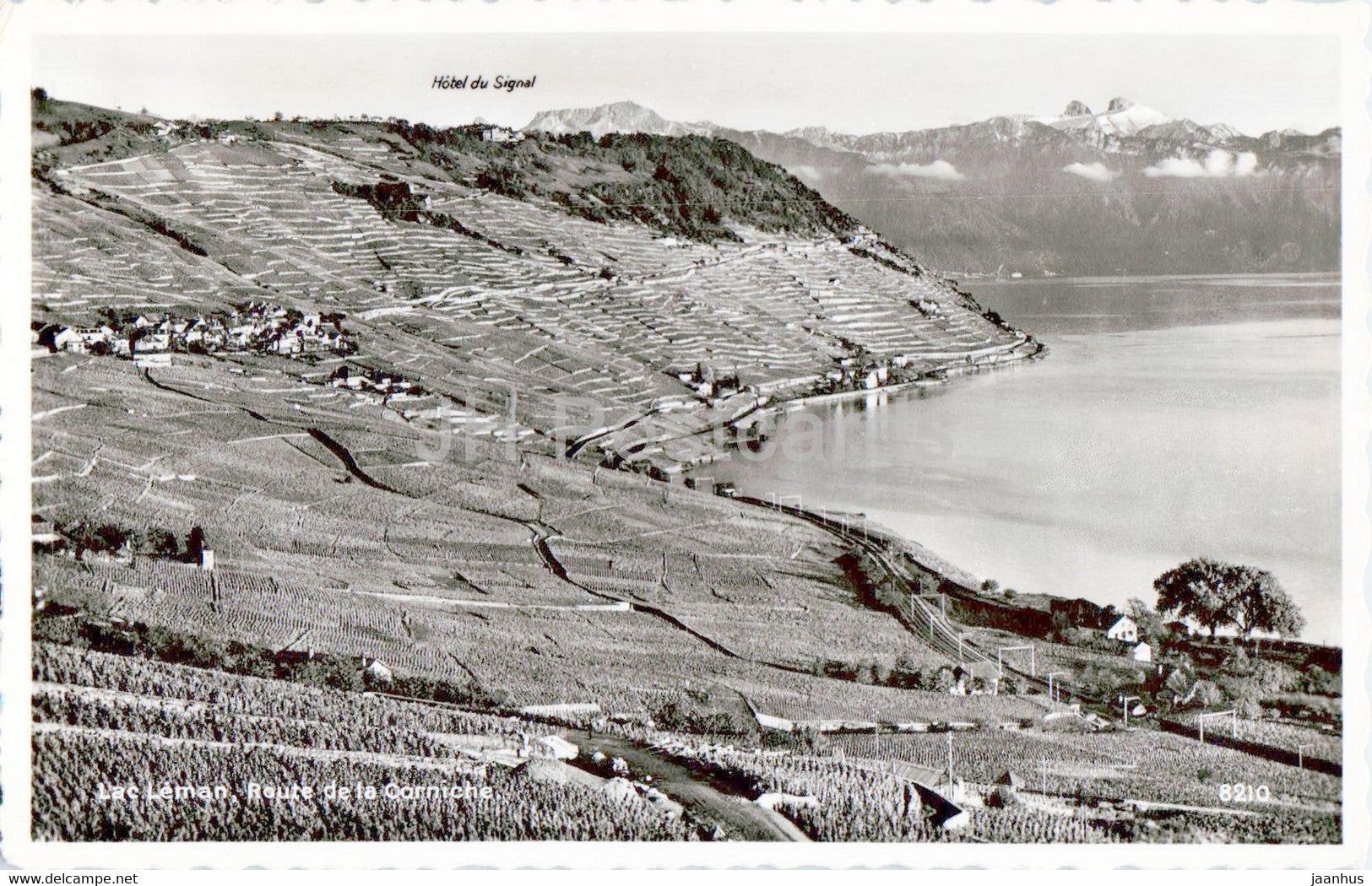 Lac Leman - Route de la Corniche - 8210 - old postcard - 1958 - Switzerland - used - JH Postcards