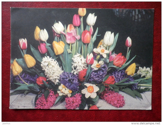 Greeting Card - tulip - narcissus - flowers - 1971 - Russia USSR - unused - JH Postcards