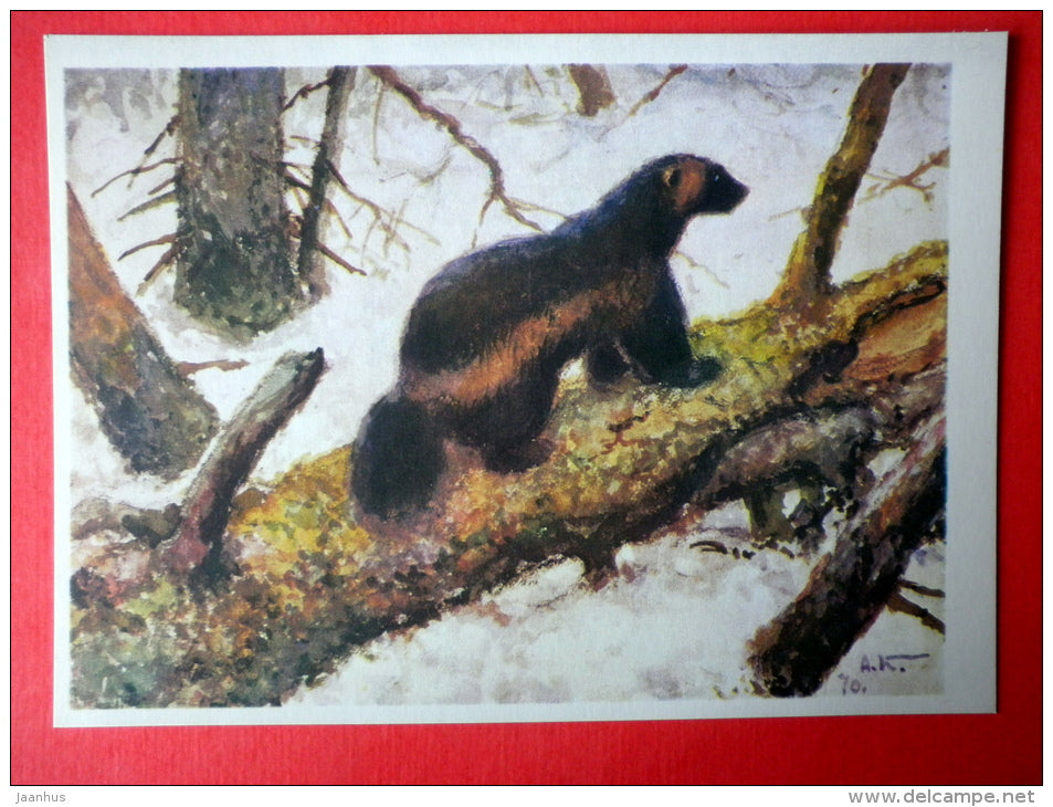 illustration by A. Komarov - Wolverine - Gulo gulo - 1975 - Russia USSR - unused - JH Postcards