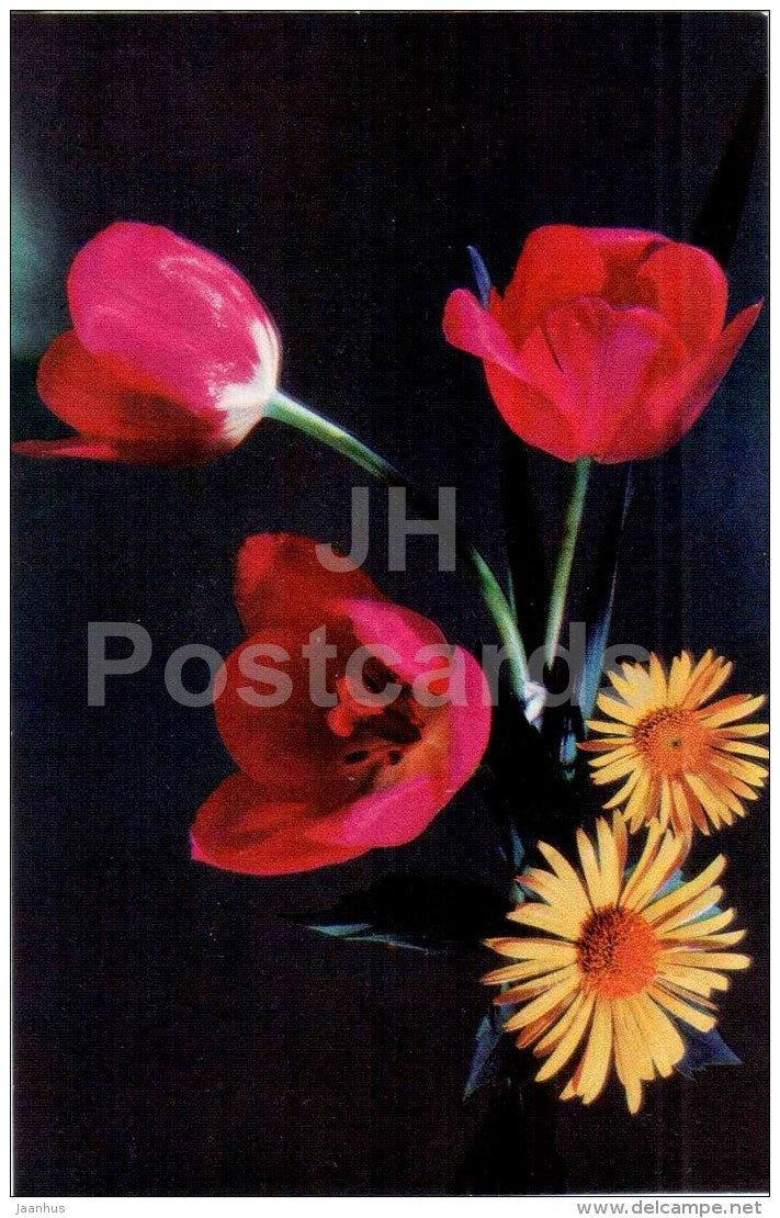 flowers composition - red tulips - 1977 - Russia USSR - unused - JH Postcards