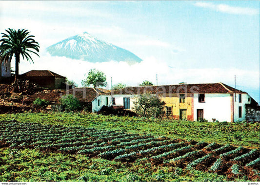 Canarias - Teide y paisaje tipico - Tenerife - 2317 - Spain - unused - JH Postcards