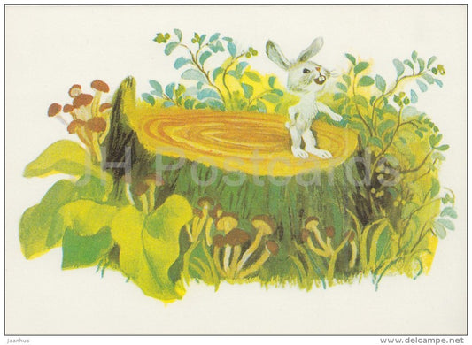 illustration by Y. Chernyatin - hare - Don´t Cry Mushroom by D. Mrazkova - fairy tale  - 1979 - Russia USSR - unus - JH Postcards