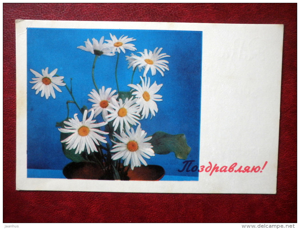 Greeting Card - daisies - flowers - 1971 - Russia USSR - used - JH Postcards