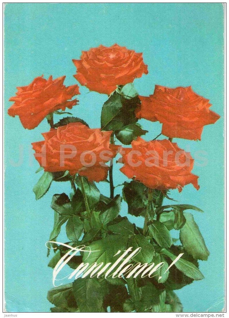 red rose - greeting card - flowers - 1993 - Estonia - unused - JH Postcards