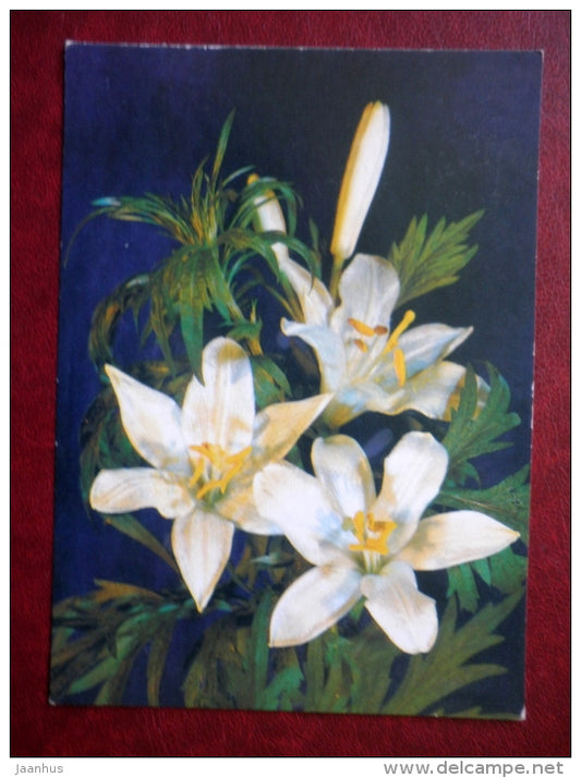 Greeting card - white lily - flowers - plants - 1989 - Russia USSR - used - JH Postcards